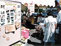 s006.jpg