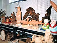 s016.jpg