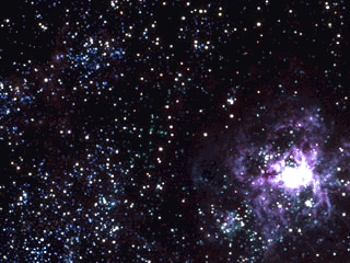 http://www.e-net.or.jp/user/setuhito/dtl/images/img15.gif