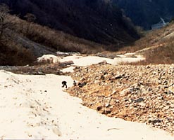 右又出合