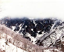 右又出合