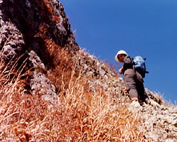 林道から三峰頂上