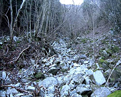 中間部の階段滝