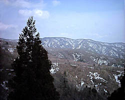 ŐJRʁA03.3