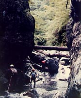 右又出合