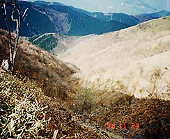 右又出合