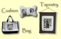 �C���e���A�O�b�Y